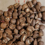 Pork and Beans Store - Haitian Blue Coffee