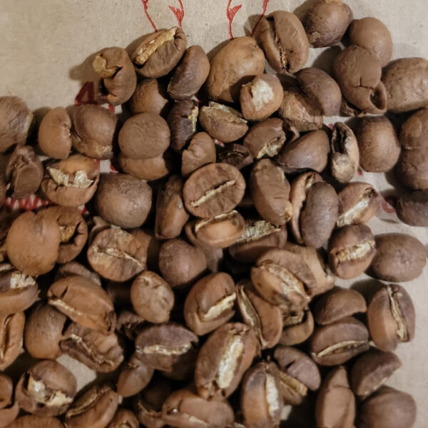 Pork and Beans Store - Haitian Blue Coffee