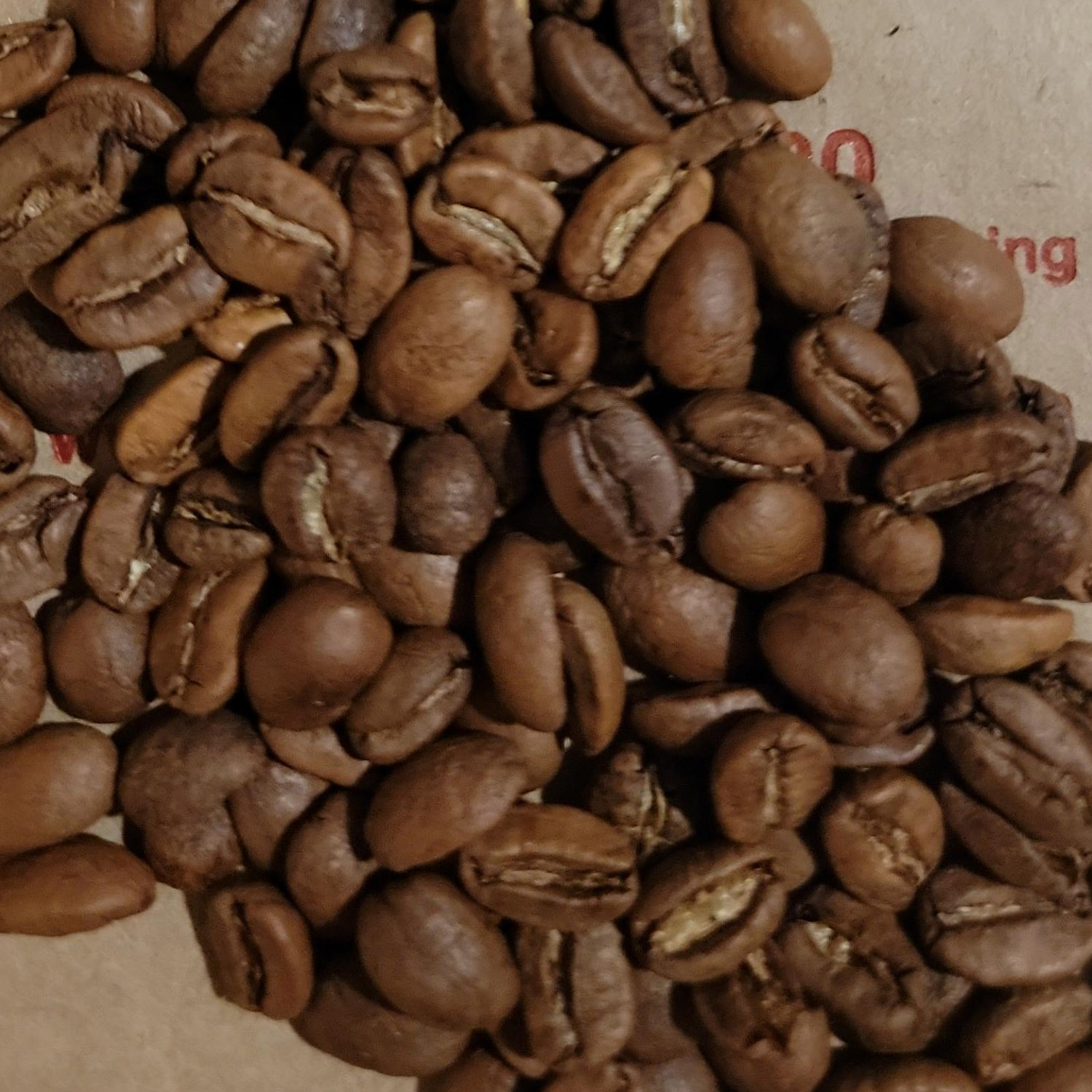 pork-beans-store-red-bourbon-coffee-beans Pork and Beans Store - Red Bourbon Coffee