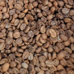 Pork and Beans Store - Raven's Roast Coffee Beans